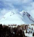 skiTiger.com